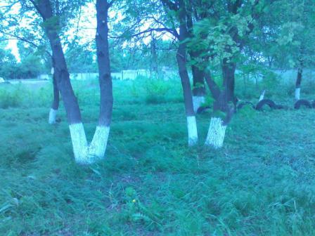 субботник предпринимателей